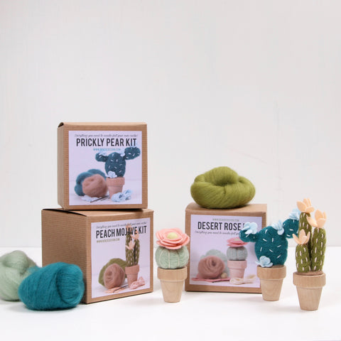 Cactus Needle Felting Kits -Wholesale – Benzie Design